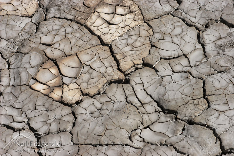 Cracked-mud_2814.jpg