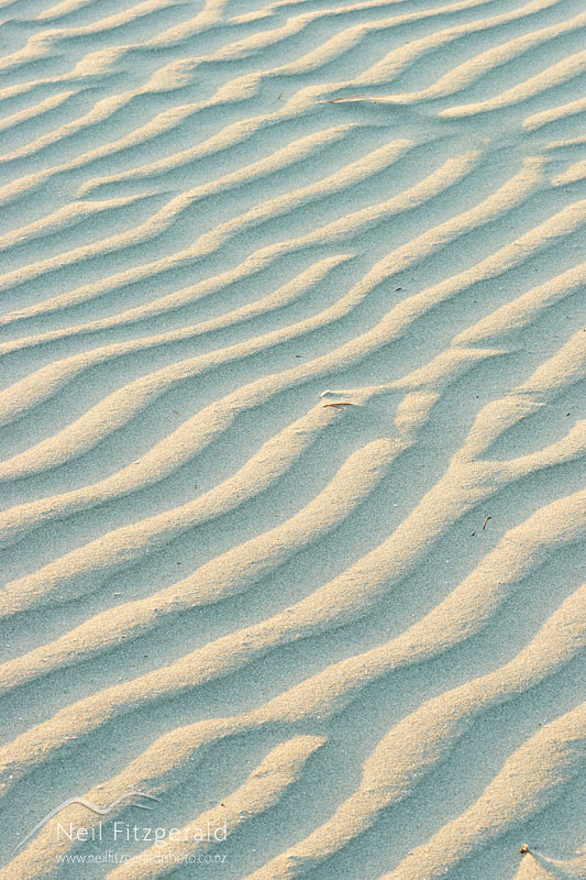 Sand-patterns_2458.jpg