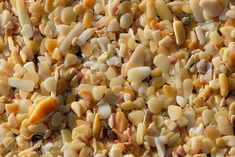 sand_4523.jpg