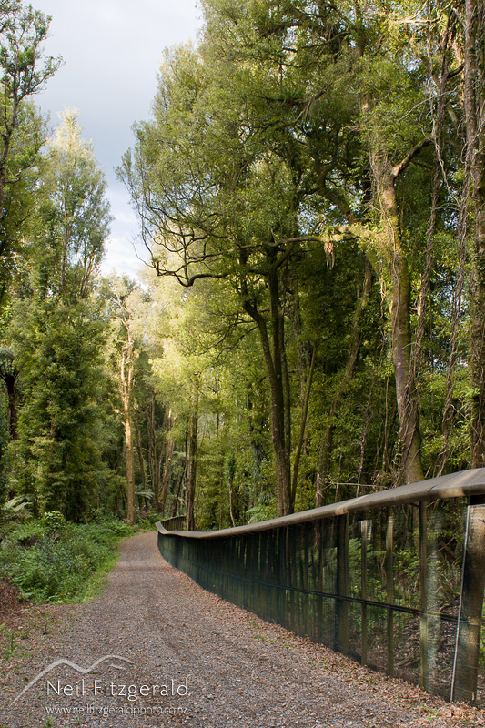 Maungatautari-Excluder-fence-0676.jpg