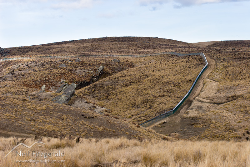 McRaes-Flat-fence_9578.jpg