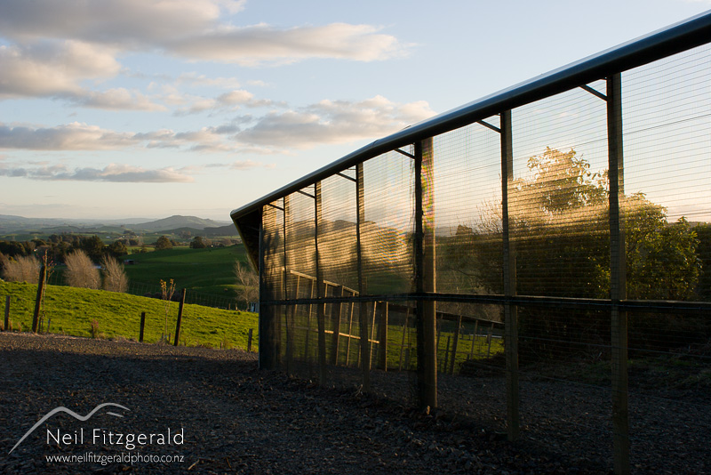 excluder-fence_4807.jpg