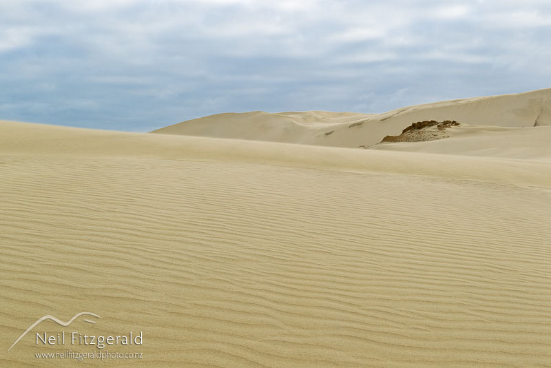 dune_14277.jpg