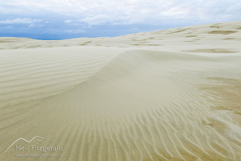 dune_14286.jpg