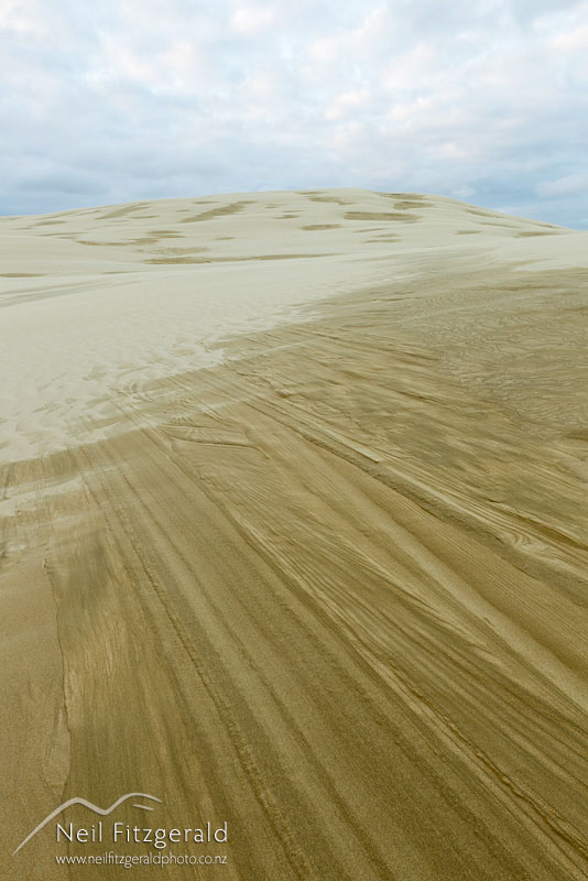 dune_14288.jpg