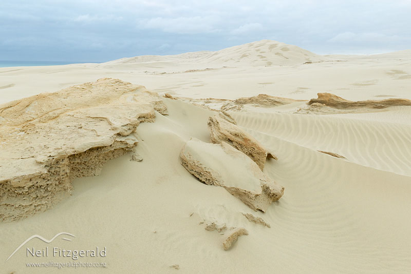 dune_14290.jpg