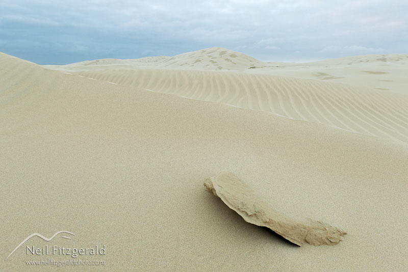 dune_14291.jpg
