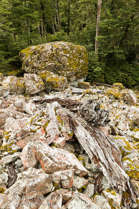 Basin-Creek-24610.jpg