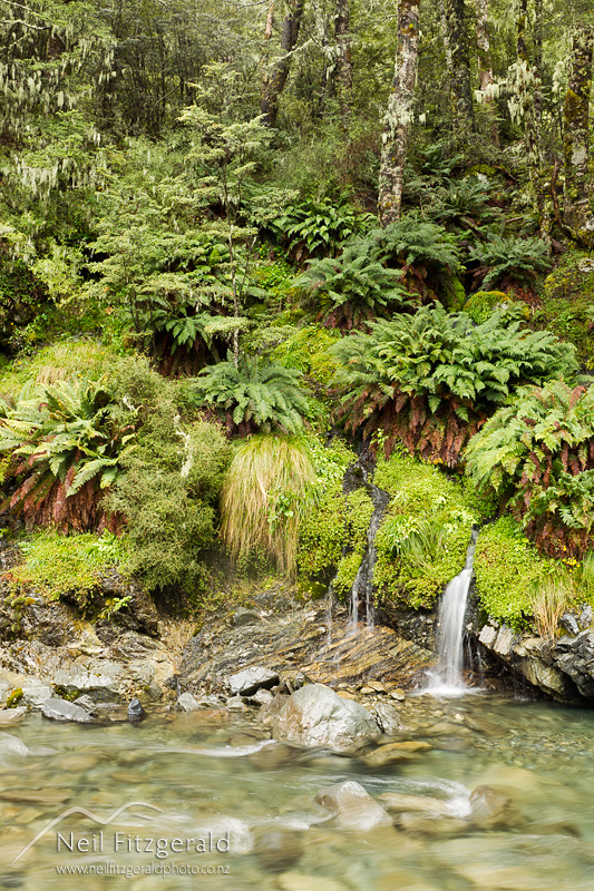 Basin-Creek-24749.jpg