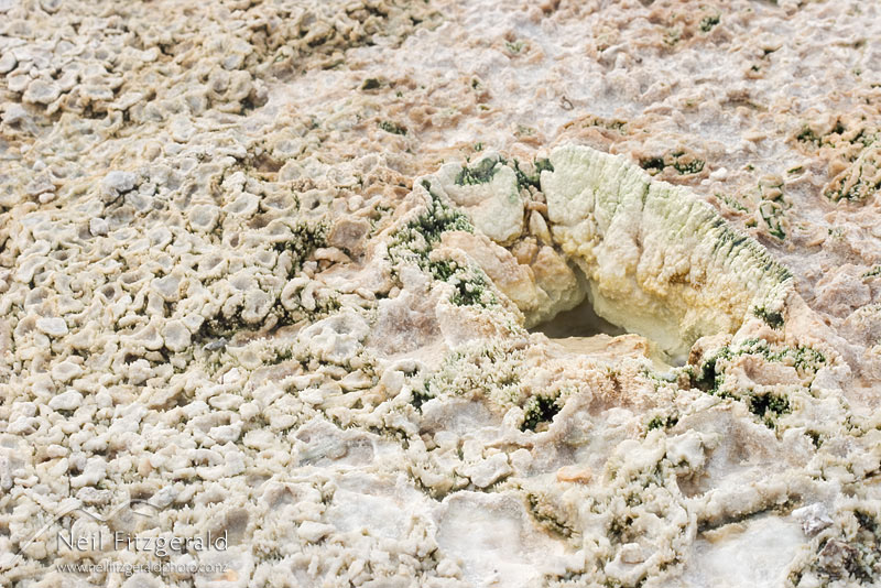 silica-deposit_7730.jpg