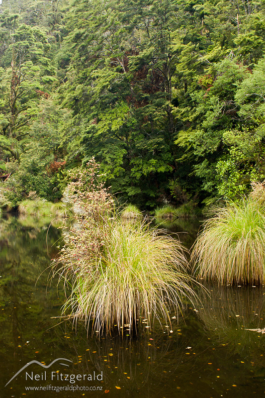 Kanohirua-Lake_6085.jpg