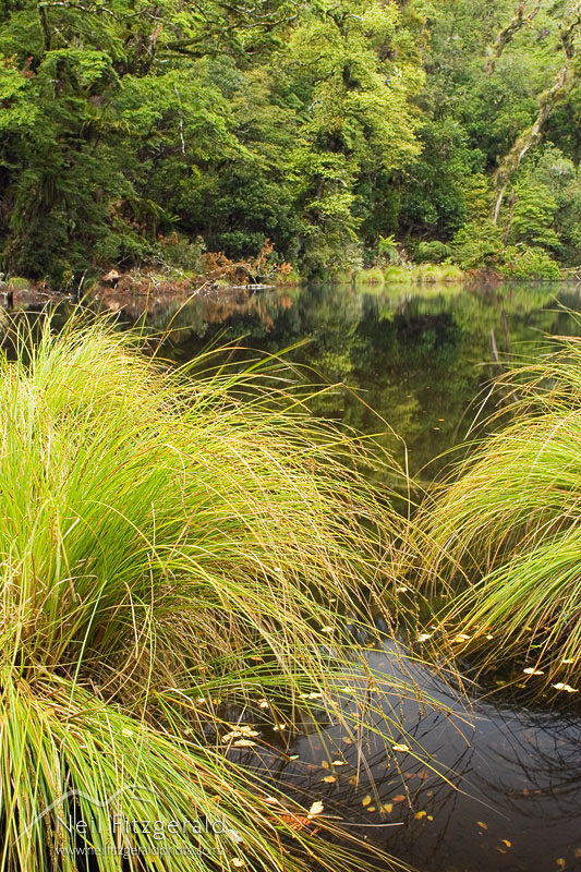 Kanohirua-Lake_6086.jpg