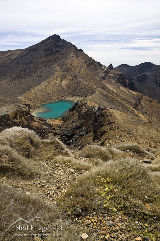 Mount-Tongariro_12846.jpg