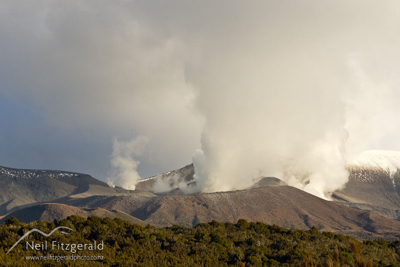 Tongariro-eruption-18857.jpg