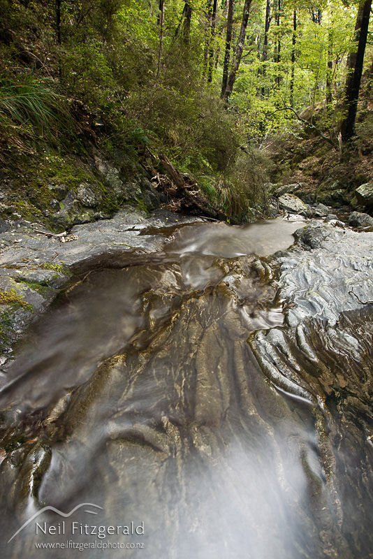 Cannister-Creek-16095.jpg