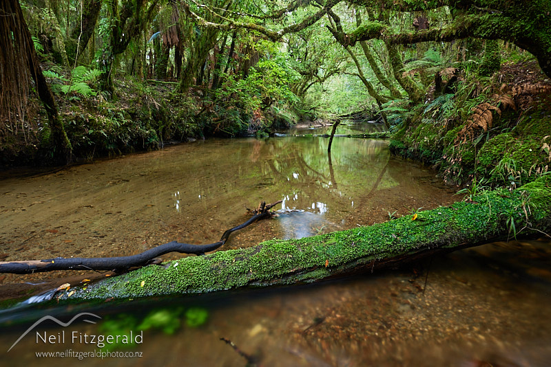 Waihaha-River-27254.jpg