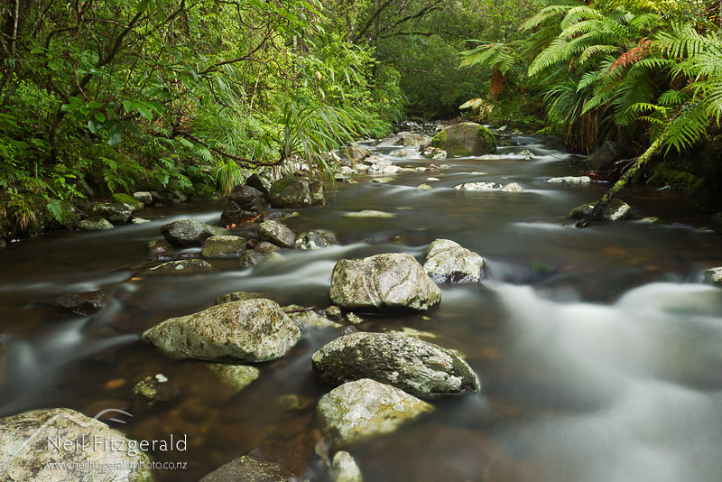 stream_13680.jpg