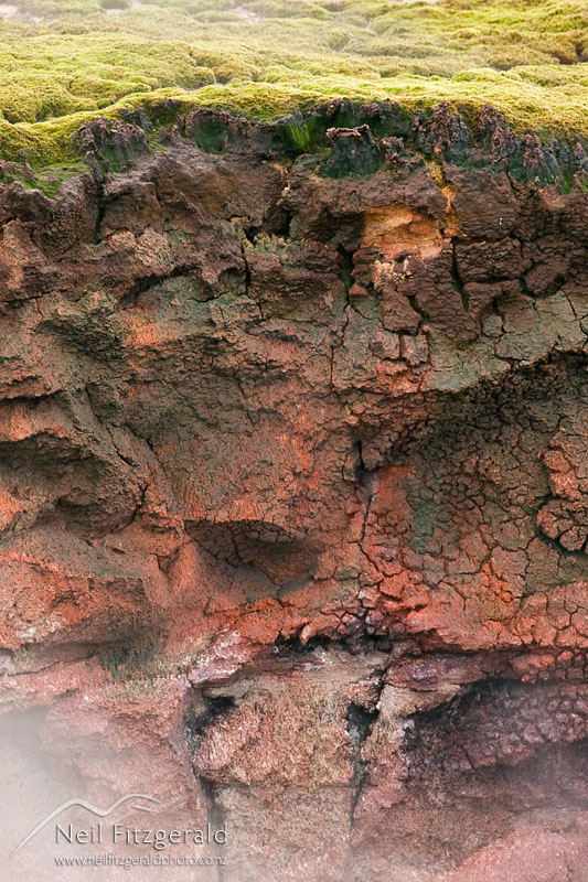 Geothermal-soil_3585.jpg