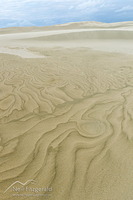 Te Paki sand dunes