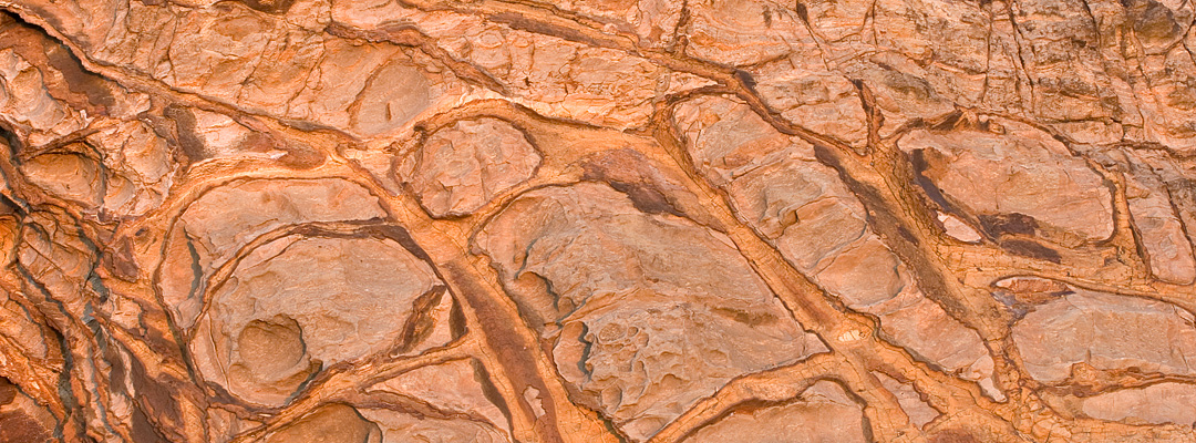 abstracts and patterns in nature