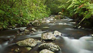Landscape photos